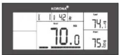 KORONA KFW 5028 - Pesatura e misurazione di altri valori - 6