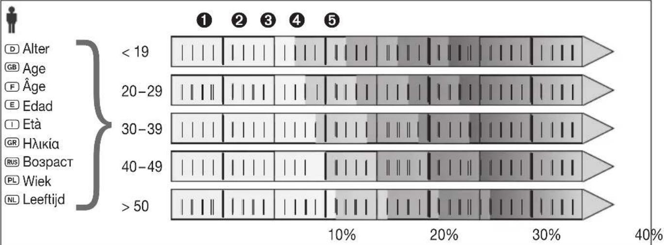 | Category | Value | |---|---| | Alter | < 19 | | Age | 20-29 | | Âge | 30-39 | | Edad | 40-49 | | Età | > 50 | | Hλικία | 10% | | Возраст | 20% | | Wiek | 30% | | Leeftijd | 40% |