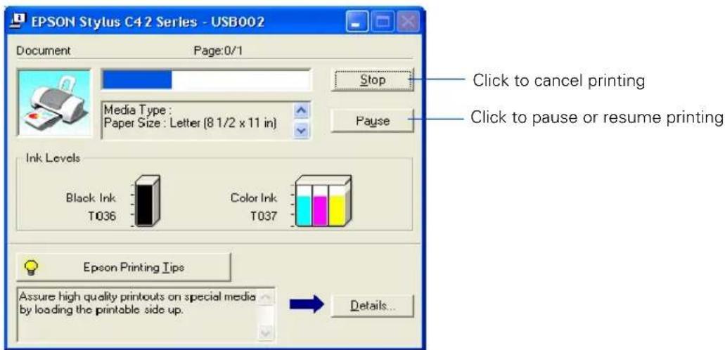 EPSON Stylus C42UX - Printing in Windows - 5