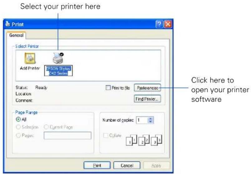 EPSON Stylus C42UX - Printing in Windows - 1