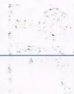 VOLKSWAGEN Golf (2005) - Vehicle Identification Label - 1