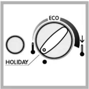 INDESIT TA 5 FNF PS - Funzione HOLIDAY - 1