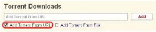 Torrent Downloads Add Torrent From URL Add Torrent From URL Add Torrent From File