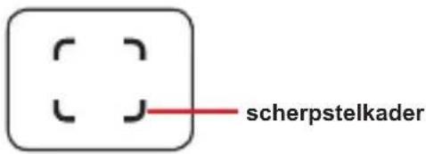 scherpstelkader