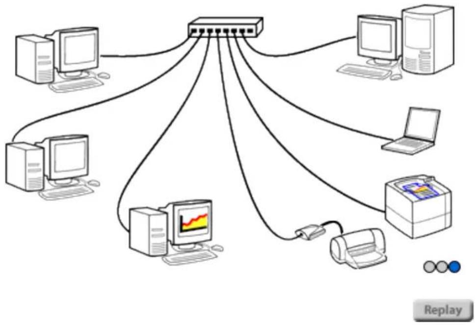 HP Jetdirect 175x - Printer drivers - 2