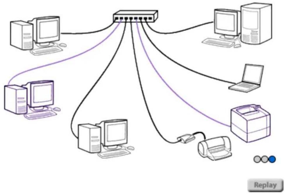 HP Jetdirect 175x - Peer-to-peer topology - 1