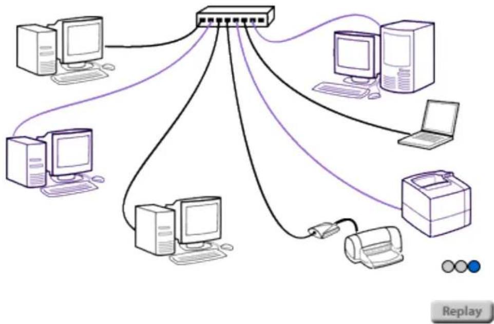 HP Jetdirect 175x - Client/server topology - 1