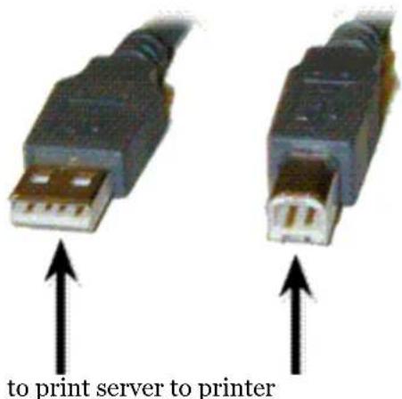 HP Jetdirect 175x - Is the USB light ON solid green? - 2