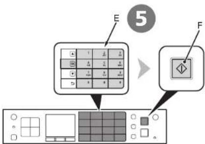 E 5 F