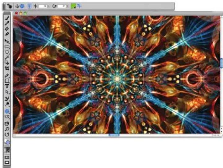 COREL Painter 12 (Mac) - Using the Mirror Painting mode - 1