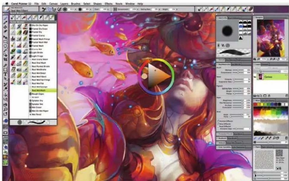 COREL Painter 12 (Mac) - Workflow and customization - 1