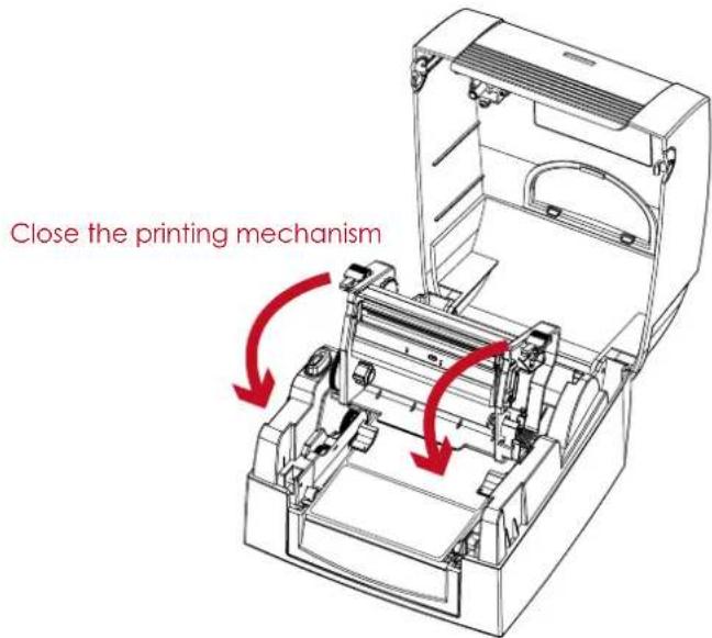 CITIZEN CL-S321 - Printer Setup - 2