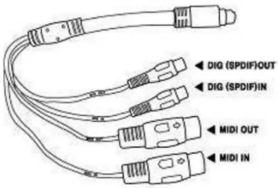 ESI Juli@ - Juli@ breakout cable - 1