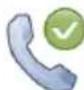 DORO PhoneEasy 409gsm - Näytön symbolit - 25