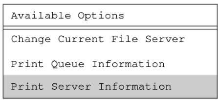Lantronix LPS1-T - Installing a Print Queue Using PCONSOLE - 2