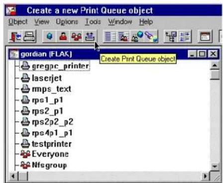 Lantronix LPS1-T - Creating Print Queues with NetWare Administrator - 1