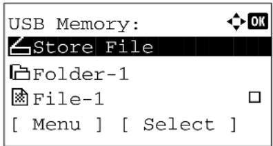 KYOCERA FS-3040MFP+/KL3 - Removing USB Memory - 2