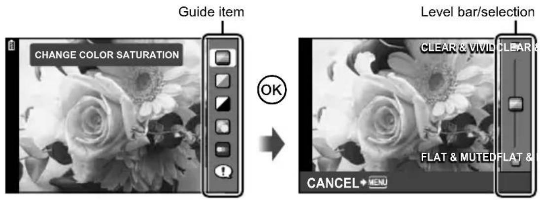 OLYMPUS PEN E-PL2 - Using live guides - 1