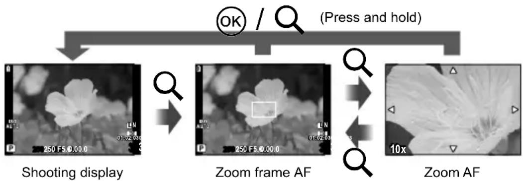 OLYMPUS PEN E-PL2 - Zoom frame AF/zoom AF - 1