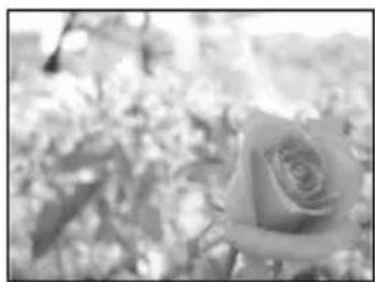 OLYMPUS PEN E-PL2 - Choosing aperture (A aperture-priority mode) - 3