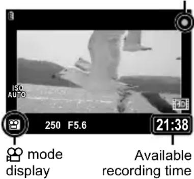 OLYMPUS PEN E-PL2 - Recording movies with the shutter button - 1