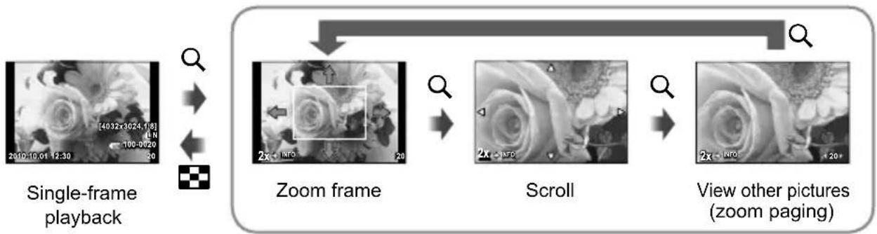 OLYMPUS PEN E-PL2 - Playback zoom (close-up playback) - 1