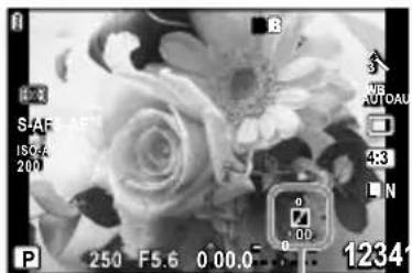 OLYMPUS PEN E-PL2 - Tone control - 1