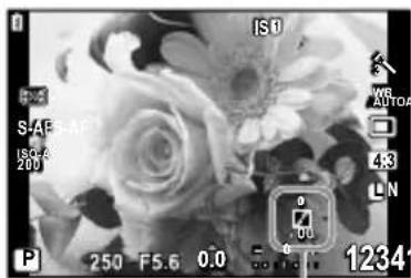OLYMPUS PEN E-PL2 - Changing the brightness of highlights and shadows - 1