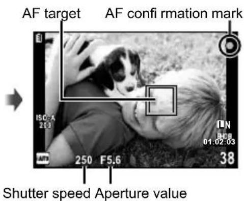 OLYMPUS PEN E-PL2 - Adjust the focus. - 2