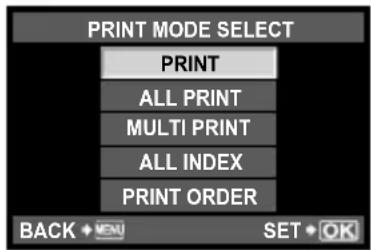 OLYMPUS PEN E-PL2 - Selecting the print mode - 1
