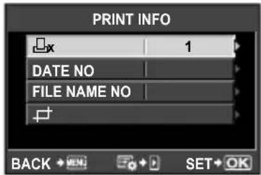 OLYMPUS PEN E-PL2 - Setting printing data - 1