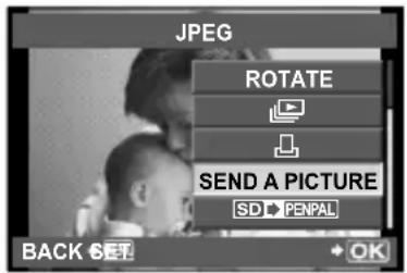 OLYMPUS PEN E-PL2 - Sending images - 1