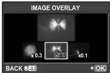OLYMPUS PEN E-PL2 - Image overlay - 2