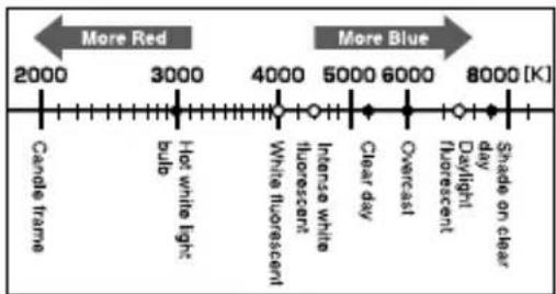 OLYMPUS PEN E-PL2 - White balance color temperature - 1