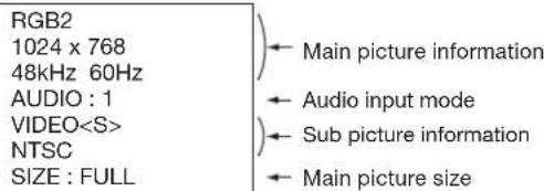 RGB2 1024 x 768 48kHz 60Hz AUDIO : 1 VIDEO NTSC SIZE : FULL Main picture information Audio input mode Sub picture information Main picture size