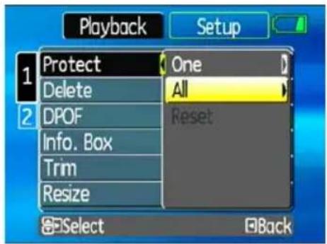 GE A1250 - Protect - 1