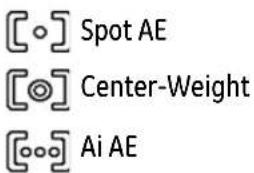 GE A1250 - LCD Screen display - 5
