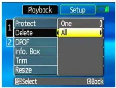 GE A1250 - Delete - 1
