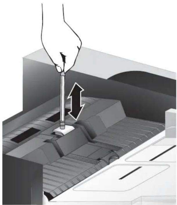 HP Scanjet Enterprise 7500 - Remplacement de la bande de séparation - 8
