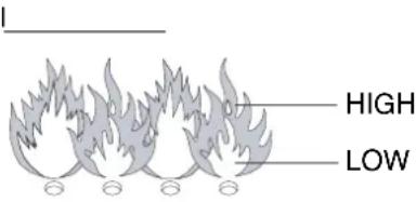 BARBECOOK Manua 4 - VIZUALUS LIEPSNOS PATIKRINIMAS - 1