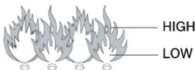 BARBECOOK Nassau Ceram II Black - CONTROLE VISUEL DES FLAMMES DES BRULEURS - 1