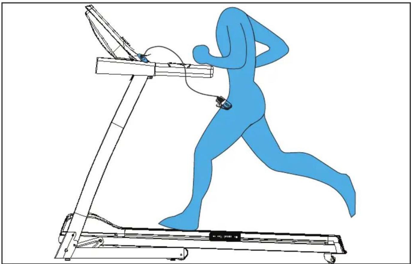 TUNTURI Cardio Fit T30 - F-2 - 3