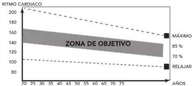 TUNTURI Cardio Fit T30 - Fase de ejercicio - 1