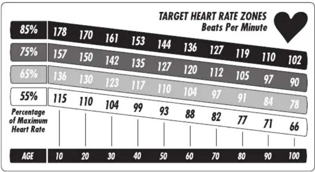 Vision Fitness T9500 Simple - TARGET HEART RATE - 1
