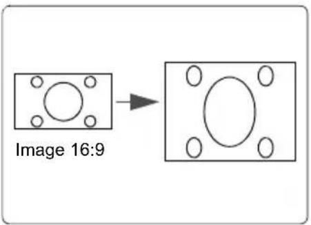 VIEWSONIC PJD5132 - À propos du format - 5