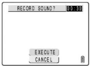RECORD SOUND ? 0 0 : 30 EXECUTE CANCEL