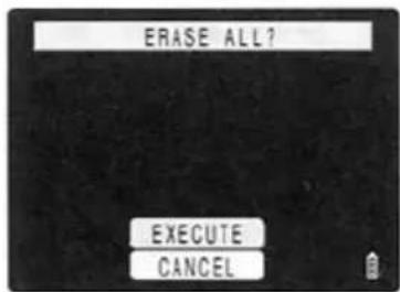 ERASE ALL? EXECUTE CANCEL