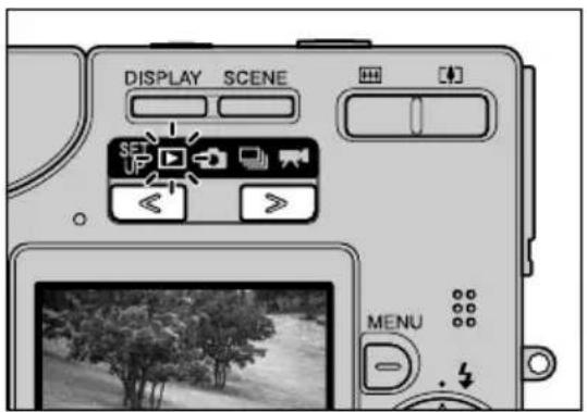 DISPLAY SCENE MENU