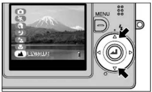 Landscape menu.
