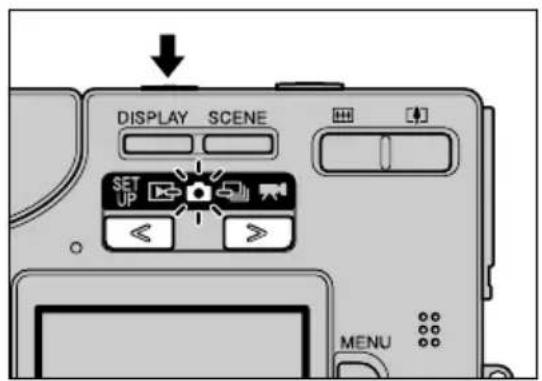 DISPLAY SCENE SET UP MENU